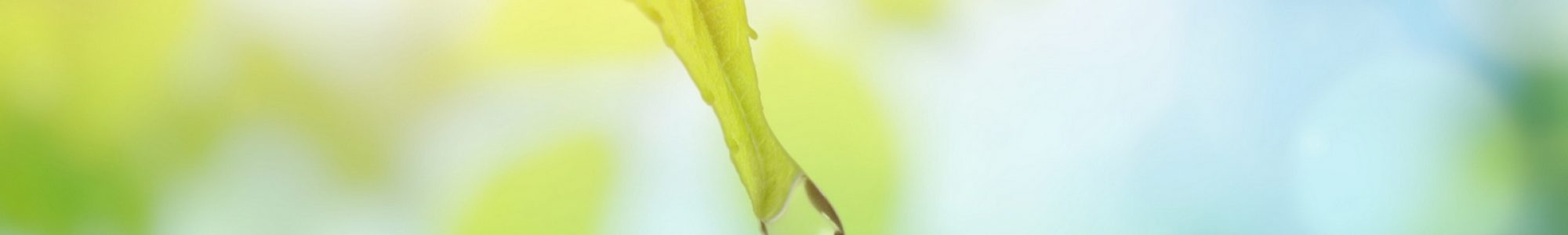 eau Economiser l'eau